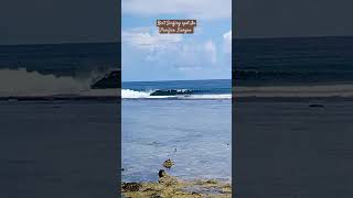 BEST Surfing Spot in Siargao located at Pacifico [upl. by Trebeh842]