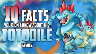 10 FACTS You DIDNT KNOW About The TOTODILE FAMILY [upl. by Etteiluj]