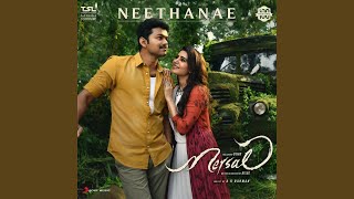 MERSAL Tamil  Full Album  Mp3 songs  Vijay Samantha ARRahman  Atlee [upl. by Sullivan]