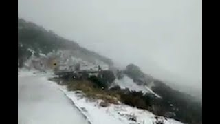 Así fue la primera nevada en Chihuahua de este año [upl. by Hollington916]