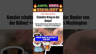 💥EIL💥 AMPEL STREIT AM SIEDEPUNKT🔥⚠️ afd politik scholz habeck lindner spd weidel bsw höcke [upl. by Aicila]