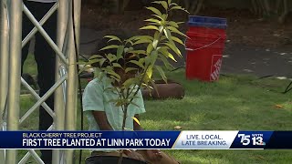 Tree planted in Birmingham park as living memorial to lynching victims [upl. by Anhcar554]