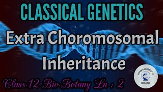 Extra Chromosomal Inheritance in tamil  Cytoplasmic inheritance  Classical Genetics [upl. by Dronel]