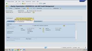 SAP S4 HANA SD 2024 FSCM Credit Management 2  17 [upl. by Lilah]