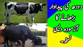 How to increase milk production of dairy animals by Desi Nuskha  Home made Treatment [upl. by Laurene]