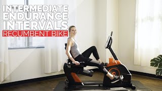 Intermediate Recumbent Bike Endurance Intervals Workout [upl. by Naeloj692]