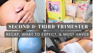 Second amp Third Trimester Pregnancy Symptoms What to Expect Pregnancy Essentials and Recap [upl. by Relyc]