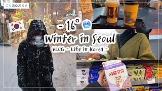 ❄韓国ソウル大雪の日⛄日常VLOG  マイナスの世界  出勤して昼休みにカフェ、韓国のコンビニ【韓国生活】 폭설 한국에서 일하는 일본인 브이로그  평범한 일상 [upl. by Phil]