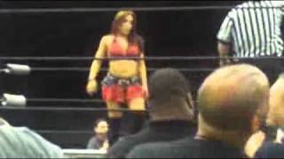 Mickie James vs Jillian Hall  National Wrestling Superstar [upl. by Artnoed215]