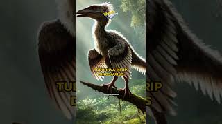 Archaeopteryx Makhluk Prasejarah yang Menghubungkan Dinosaurus amp Burung [upl. by Attalanta]