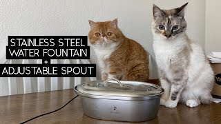 PETLIBRO STAINLESS STEEL PET WATER FOUNTAIN REVIEW  SVEN AND ROBBIE [upl. by Vitek]