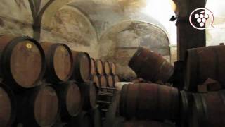 Visita Celler Cal Pla  1ª parte wwwenoguiacat [upl. by Selig534]