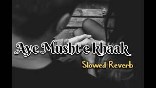 Aye Musht e khaak slowed reverb full song [upl. by Reinaldos717]