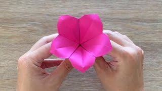 Origami Flower made from Pink Paper [upl. by Vasta]