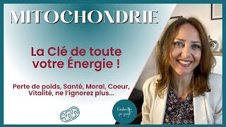 Comment la Mitochondrie Influence Notre Énergie et Notre Santé Biologie Cellulaire [upl. by Cavuoto]