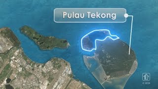 Polder Development at Pulau Tekong [upl. by Eldnek]