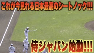 侍ジャパン始動！これが日本最高のシートノックだ！日本代表侍ジャパンキャンプWBC [upl. by Gabi]