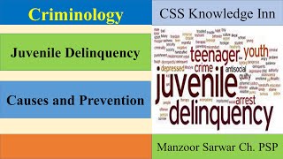 Juvenile Delinquency  Causes and Prevention [upl. by Phene]