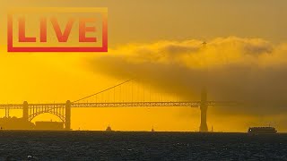 🔴 San Francisco Skyline LIVE · hosted by Mersea Restaurant 🌴 Treasure Island [upl. by Uahsoj]