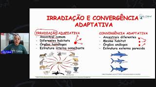 IRRADIAÇÃO E CONVERGÊNICA ADAPTATIVA [upl. by Tegdig]