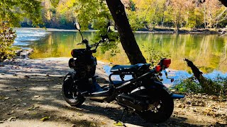 Honda Ruckus Relaxing River amp Nature Ambience Sleep amp Relaxation [upl. by Sucirdor288]