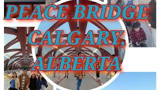 PEACE BRIDGE CALGARY ALBERTA [upl. by Assyli305]