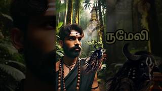 Sabarimala Erumeli  ஆச்சரியமூட்டும் கதை  petta thullal ayyappa sabarimala shorts facts [upl. by Flss]