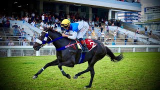 FLYING FABLE  07122024  Race 7  Country Bred Division 6 [upl. by Lerrehs]