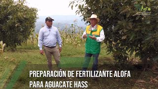 Preparación de fertilizante ALOFA para aguacate hass  TvAgro por Juan Gonzalo Angel Restrepo [upl. by Ihtraa366]