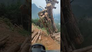 Winch length 150m diameter 14mmwood log timber tree forest pellet excavator backhoe crane [upl. by Cornell89]