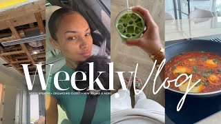 weekly vlog  house updatestill broken  organzing closet  new recipes amp more allyiahsface vlog [upl. by Learsi955]