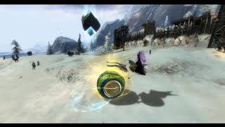 Guild Wars 2  Synergetics Gyrocycle Roller Beetle Skin In Game Preview [upl. by Udela430]