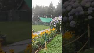 Kalatop sanctuary Forest Rest House GardenMust visit place in Dalhousie [upl. by Eiramnna]