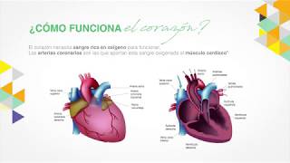 Consejos para pacientes con angina de pecho [upl. by Bonnell239]