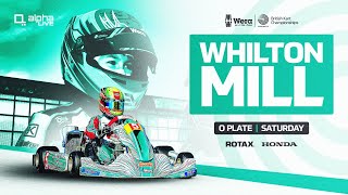 O Plate  Saturday  Wera Tools British Kart Championships LIVE [upl. by Aitsirk]