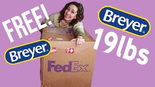 UNBOXING 19lbs of FREE Breyer Model Horses [upl. by Enyale]