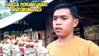 UPDATE HARGA PORANG HARI INI DI DESAKU TURUN DRASTIS [upl. by Aracaj940]