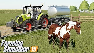 Rozpoczynam hodowlę koni  Farming Simulator 19  9 [upl. by Brice]