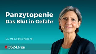 Panzytopenie – Das Blut in Gefahr  Dr med Petra Wiechel  Visite  QS24 Gesundheitsfernsehen [upl. by Nalyad]