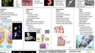 Immune System Part 1 Barriers and Non Specific Defenses [upl. by Marala]