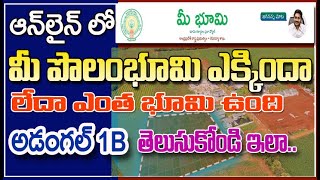 Land Details Search in Telangana Dharani Portal Official 2021 [upl. by Noirret]