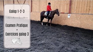 Examen Galop 1 et 2 avec en plus exo pratique du Galop 3 [upl. by Elianora]