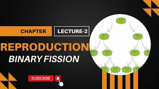 Binary fission with exampleslecture02 class10 biology bioclass [upl. by Nnaeirelav]