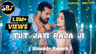 Tut Jayi Raja Ji  Lofi  SlowedReverb  Khesari Aamrapali  SHAKIL BRO  New Bhojpuri Song 2024 [upl. by Lein]