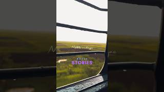 Muthu malaiye Whatsapp Status Tamil Hd Songs  treanding  love Song  miss you Status  shorts [upl. by Eanahs]