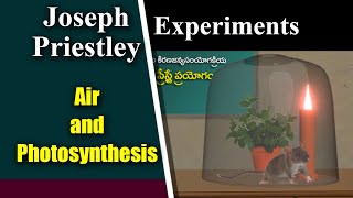 Joseph Priestley Experiment [upl. by Mayer]