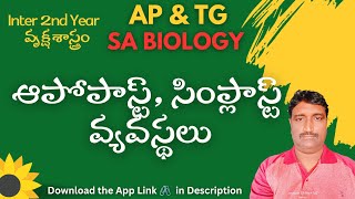 SA BIOLOGY అపోప్లాస్ట్ మరియు సిం ప్లాస్ట్ వ్యవస్థలు DSC [upl. by Oiramal]