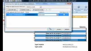 EXCEL 2007 EX MISE EN FORME CONDITIONNELLE UNE LIGNE SUR DEUX [upl. by Naehgem246]