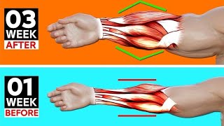 Exercises For Bigger Forearms  Best Exercises for Bigger forearm [upl. by Naihr]