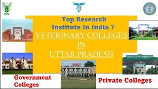 Veterinary Colleges in UP Private CollegesGovernment Colleges BVSc amp AH  VCI  Neet [upl. by Ahsiken]